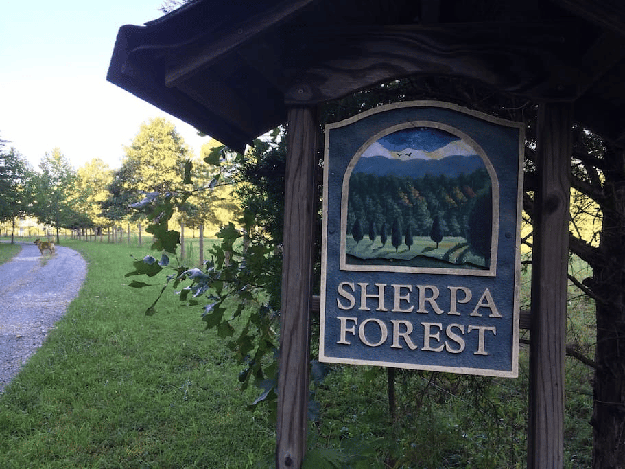 Sherpa Forest - recipients of REAP Grant