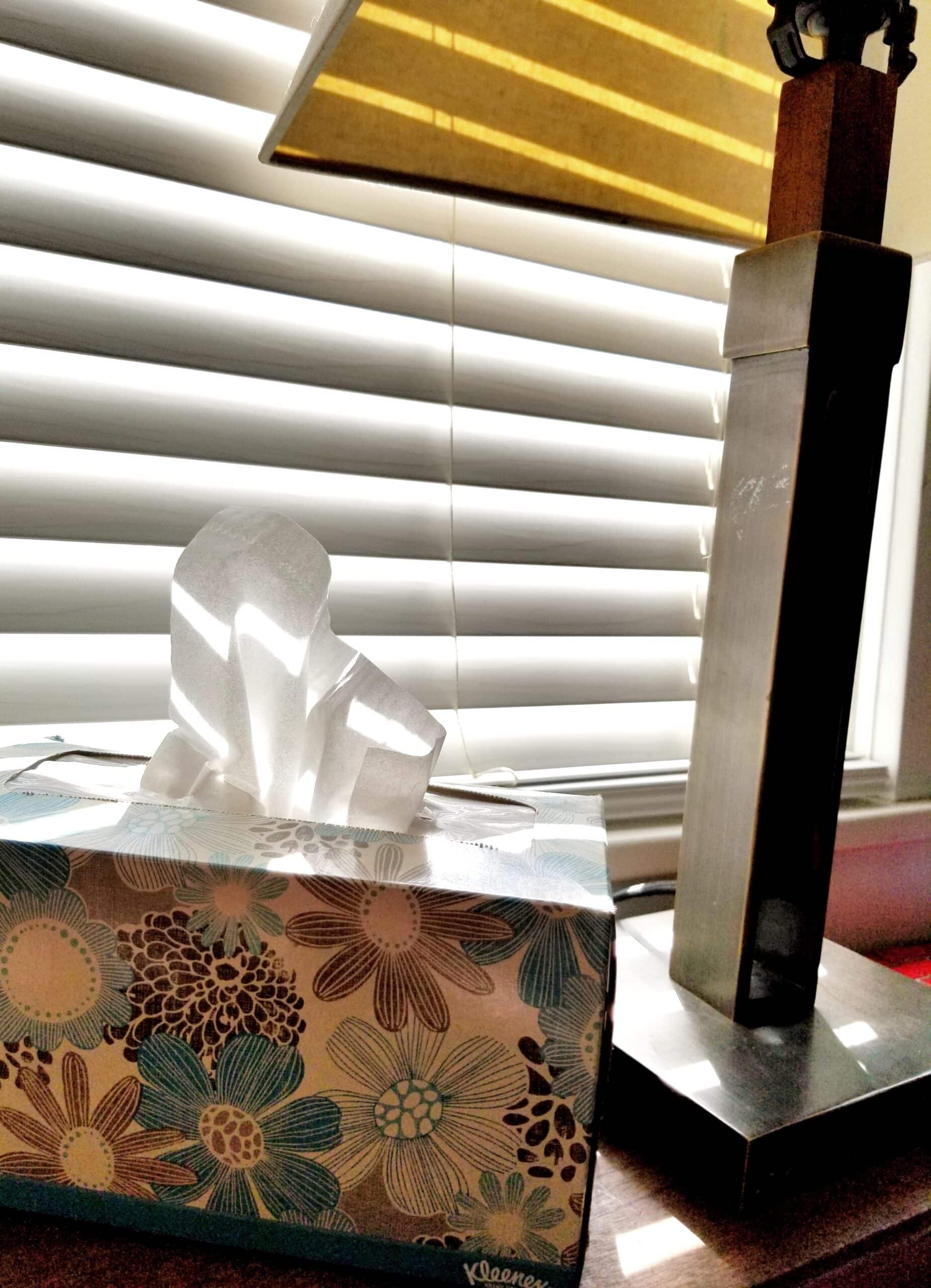 Tissue box near window
