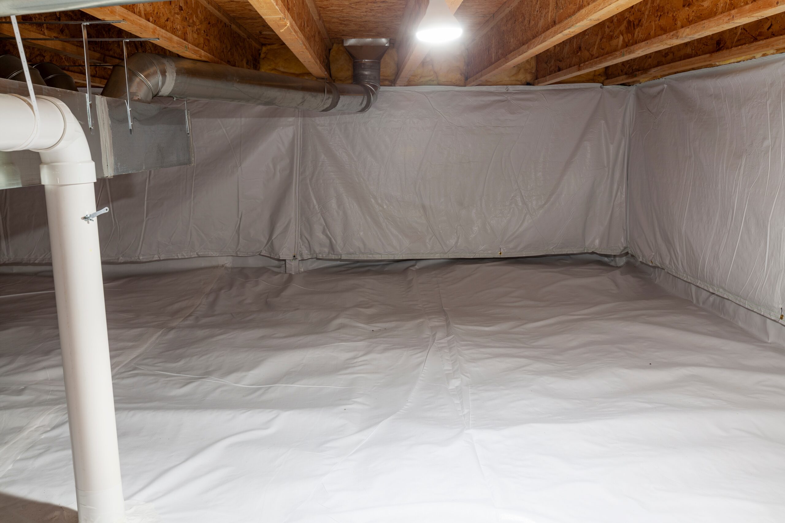 The Hidden Costs of Ignoring Your Crawl Space blog header image